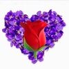 alwaysviv62